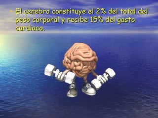 • El cerebro constituye el 2% del total delEl cerebro constituye el 2% del total del
peso corporal y recibe 15% del gastopeso corporal y recibe 15% del gasto
cardiaco.cardiaco.
 