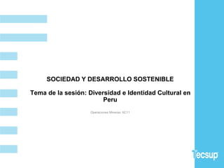 SOCIEDAD Y DESARROLLO SOSTENIBLE
Tema de la sesión: Diversidad e Identidad Cultural en
Peru
Operaciones Mineras: 6C11
 