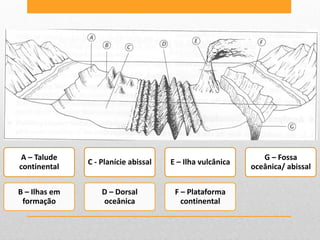 A – Talude                                                   G – Fossa
               C - Planície abissal   E – Ilha vulcânica
continental                                                oceânica/ abissal


B – Ilhas em       D – Dorsal          F – Plataforma
 formação          oceânica              continental
 