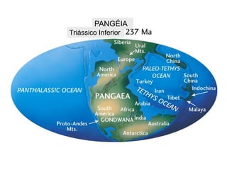 PANGÉIA
Triássico Inferior

 