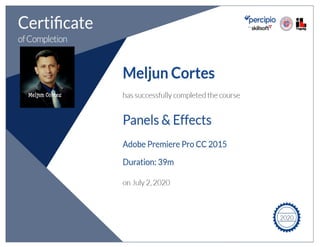  MELJUN CORTES Tectoc certificate_digital_arts_panels_effects