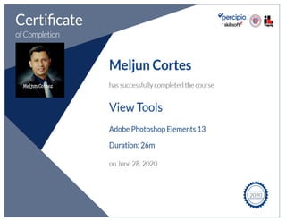 MELJUN CORTES  Tectoc certificate_digital_arts_view_tools