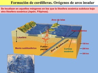 Manto sublitosférico
Litosfera
Fusión
parcial
100 km
200 km
300 km
Arco de islas
Fosa oceánica
Corteza
oceánica
Formación de cordilleras. Orógenos de arco insular
Se localizan en aquellos márgenes en los que la litosfera oceánica subduce bajo
otra litosfera oceánica (Japón, Filipinas).
 