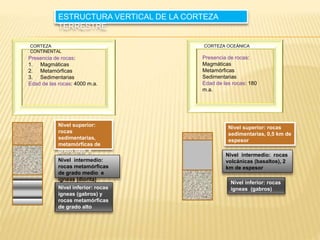 CORTEZA
CONTINENTAL
Presencia de rocas:
1. Magmáticas
2. Metamórficas
3. Sedimentarias
Edad de las rocas: 4000 m.a.
Nivel superior:
rocas
sedimentarias,
metamórficas de
grado bajo e
ígneas
Nivel intermedio:
rocas metamórficas
de grado medio e
ígneas (diorita)
Nivel inferior: rocas
ígneas (gabros) y
rocas metamórficas
de grado alto
CORTEZA OCEÁNICA
Presencia de rocas:
Magmáticas
Metamórficas
Sedimentarias
Edad de las rocas: 180
m.a.
Nivel superior: rocas
sedimentarias, 0,5 km de
espesor
Nivel intermedio: rocas
volcánicas (basaltos), 2
km de espesor
Nivel inferior: rocas
ígneas (gabros)
ESTRUCTURA VERTICAL DE LA CORTEZA
TERRESTRE
 