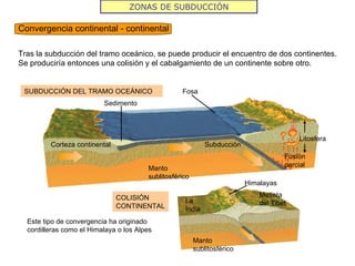Tectonica03 Slide 15
