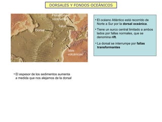 Tectonica03 Slide 7