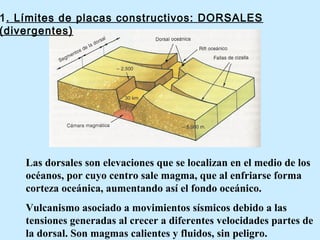 1. Límites de placas constructivos: DORSALES
(divergentes)
Las dorsales son elevaciones que se localizan en el medio de los
océanos, por cuyo centro sale magma, que al enfriarse forma
corteza oceánica, aumentando así el fondo oceánico.
Vulcanismo asociado a movimientos sísmicos debido a las
tensiones generadas al crecer a diferentes velocidades partes de
la dorsal. Son magmas calientes y fluidos, sin peligro.
 