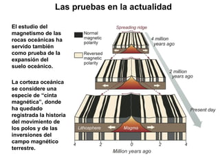 El estudio del
magnetismo de las
rocas oceánicas ha
servido también
como prueba de la
expansión del
suelo oceánico.
Las pruebas en la actualidad
La corteza oceánica
se considere una
especie de “cinta
magnética”, donde
ha quedado
registrada la historia
del movimiento de
los polos y de las
inversiones del
campo magnético
terrestre.
 