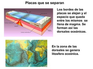 Placas que se separan
Los bordes de las
placas se alejan y el
espacio que queda
entre los mismos se
llena de magma. Se
forman así las
dorsales oceánicas.
En la zona de las
dorsales se genera
litosfera oceánica.
 
