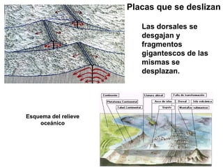 Placas que se deslizan
Las dorsales se
desgajan y
fragmentos
gigantescos de las
mismas se
desplazan.
Esquema del relieve
oceánico
 