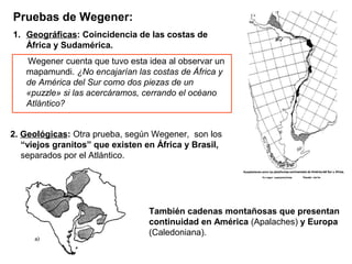 Pruebas de Wegener:
1. Geográficas: Coincidencia de las costas de
África y Sudamérica.
Wegener cuenta que tuvo esta idea al observar un
mapamundi. ¿No encajarían las costas de África y
de América del Sur como dos piezas de un
«puzzle» si las acercáramos, cerrando el océano
Atlántico?
2. Geológicas: Otra prueba, según Wegener, son los
“viejos granitos” que existen en África y Brasil,
separados por el Atlántico.
También cadenas montañosas que presentan
continuidad en América (Apalaches) y Europa
(Caledoniana).
 