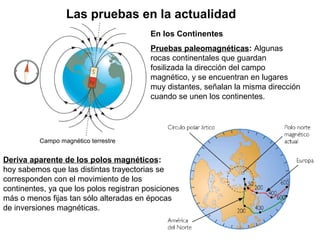 En los Continentes
Pruebas paleomagnéticas: Algunas
rocas continentales que guardan
fosilizada la dirección del campo
magnético, y se encuentran en lugares
muy distantes, señalan la misma dirección
cuando se unen los continentes.
Las pruebas en la actualidad
Campo magnético terrestre
Deriva aparente de los polos magnéticos:
hoy sabemos que las distintas trayectorias se
corresponden con el movimiento de los
continentes, ya que los polos registran posiciones
más o menos fijas tan sólo alteradas en épocas
de inversiones magnéticas.
 