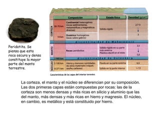 La corteza, el manto y el núcleo se diferencian por su composición.
Las dos primeras capas están compuestas por rocas: las de la
corteza son menos densas y más ricas en silicio y aluminio que las
del manto, más densas y más ricas en hierro y magnesio. El núcleo,
en cambio, es metálico y está constituido por hierro.
Peridotita. Se
piensa que esta
roca oscura y densa
constituye la mayor
parte del manto
terrestre.
 