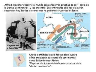 Alfred Wegener recorrió el mundo para encontrar pruebas de su “Teoría de
la Deriva Continental”, y las encontró. En continentes que hoy día están
separados hay fósiles de seres que no pudieron cruzar los océanos.
Wegener en
la Antártida
Otros científicos ya se habían dado cuenta
cómo encajaban las costas de continentes
como Sudamérica y África.
Wegener dedicó su vida a buscar pruebas de la
“deriva continental”.
 