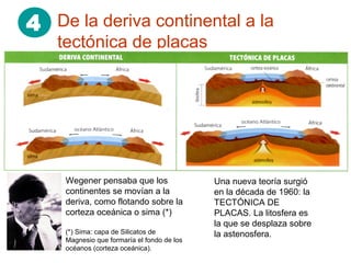 4 De la deriva continental a la
tectónica de placas
Wegener pensaba que los
continentes se movían a la
deriva, como flotando sobre la
corteza oceánica o sima (*)
(*) Sima: capa de Silicatos de
Magnesio que formaría el fondo de los
océanos (corteza oceánica).
Una nueva teoría surgió
en la década de 1960: la
TECTÓNICA DE
PLACAS. La litosfera es
la que se desplaza sobre
la astenosfera.
 