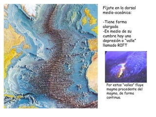 Fíjate en la dorsal
medio-oceánica:
-Tiene forma
alargada
-En medio de su
cumbre hay una
depresión o “valle”
llamado RIFT
Por estos “valles” fluye
magma procedente del
magma, de forma
continua.
 