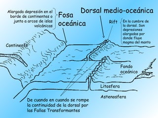 Dorsal medio-oceánica
Rift
Continente
Fondo
oceánico
Litosfera
Astenosfera
Fosa
oceánica
De cuando en cuando se rompe
la continuidad de la dorsal por
las Fallas Transformantes
Alargada depresión en el
borde de continentes o
junto a arcos de islas
volcánicas
En la cumbre de
la dorsal. Son
depresiones
alargadas por
donde fluye
magma del manto
 
