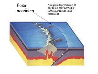 Fosa
oceánica
Alargada depresión en el
borde de continentes o
junto a arcos de islas
volcánicas
 