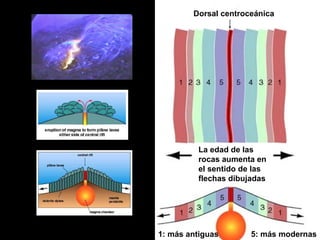 1: más antiguas
5: más modernas
Dorsal centroceánica
La edad de las
rocas aumenta en
el sentido de las
flechas dibujadas
1: más antiguas 5: más modernas
 