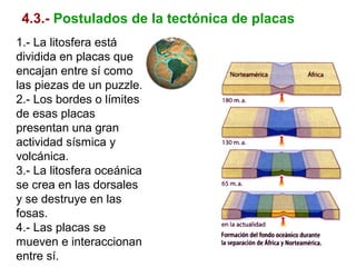 4.3.- Postulados de la tectónica de placas
1.- La litosfera está
dividida en placas que
encajan entre sí como
las piezas de un puzzle.
2.- Los bordes o límites
de esas placas
presentan una gran
actividad sísmica y
volcánica.
3.- La litosfera oceánica
se crea en las dorsales
y se destruye en las
fosas.
4.- Las placas se
mueven e interaccionan
entre sí.
 