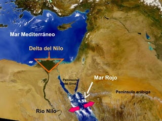 Mar Mediterráneo
Río Nilo
Delta del Nilo
Mar RojoPenínsula
del Sinaí
Península arábiga
 