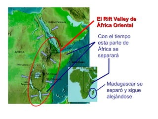 El Rift Valley deEl Rift Valley de
África OrientalÁfrica Oriental
Con el tiempo
esta parte de
África se
separará
Madagascar se
separó y sigue
alejándose
 