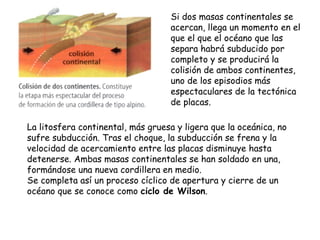 Si dos masas continentales se
acercan, llega un momento en el
que el que el océano que las
separa habrá subducido por
completo y se producirá la
colisión de ambos continentes,
uno de los episodios más
espectaculares de la tectónica
de placas.
La litosfera continental, más gruesa y ligera que la oceánica, no
sufre subducción. Tras el choque, la subducción se frena y la
velocidad de acercamiento entre las placas disminuye hasta
detenerse. Ambas masas continentales se han soldado en una,
formándose una nueva cordillera en medio.
Se completa así un proceso cíclico de apertura y cierre de un
océano que se conoce como ciclo de Wilson.
 