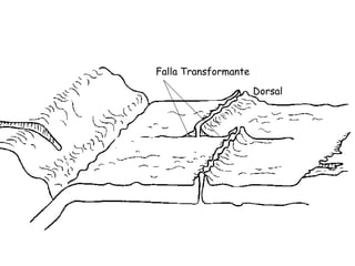 Falla Transformante
Dorsal
 