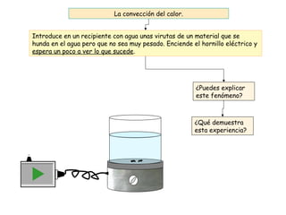 La convección del calor.
Introduce en un recipiente con agua unas virutas de un material que se
hunda en el agua pero que no sea muy pesado. Enciende el hornillo eléctrico y
espera un poco a ver lo que sucede.
¿Puedes explicar
este fenómeno?
¿Qué demuestra
esta experiencia?
 