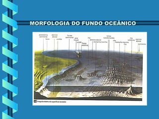 MORFOLOGIA DO FUNDO OCEÂNICO

 