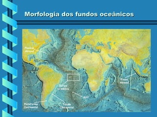 Morfologia dos fundos oceânicos

Planície
Abissal

Fossa
Abissal

Dorsal
Oceânica

Rift
Plataforma
Continental

Talude
Continental

 