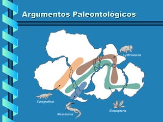 Argumentos Paleontológicos

Lystrosaurus

Cynognathus

Mesosaurus

Glossopteris

 