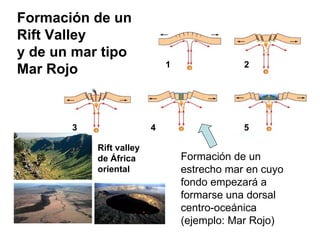 Formación de un Rift Valley y de un mar tipo Mar Rojo 1  2 3  4  5 Rift valley de África oriental Formación de un estrecho mar en cuyo fondo empezará a formarse una dorsal centro-oceánica (ejemplo: Mar Rojo) 