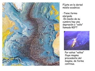 Fíjate en la dorsal medio-oceánica: Tiene forma alargada En medio de su cumbre hay una depresión o “valle” llamado RIFT Por estos “valles” fluye magma procedente del magma, de forma continua. 