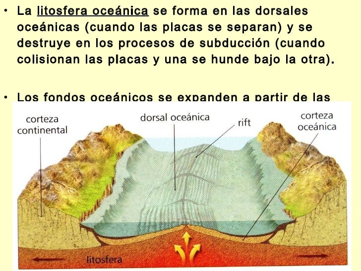 Tectonica placas