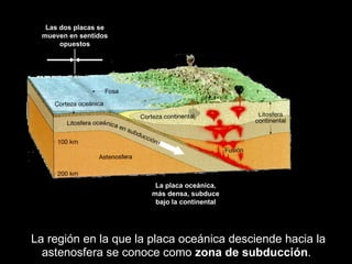 La región en la que la placa oceánica desciende hacia la astenosfera se conoce como  zona de subducción . Las dos placas se mueven en sentidos opuestos La placa oceánica, más densa, subduce bajo la continental 