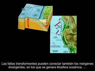 Las fallas transformantes pueden conectar también los márgenes divergentes, en los que se genera litosfera oceánica, … 