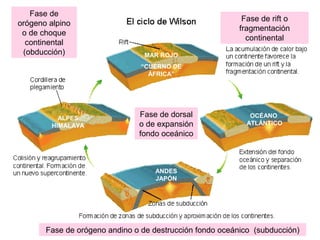 TECTÓNICA DE PLACAS Teoría unificadora …Wilson en ppt video online descargar
