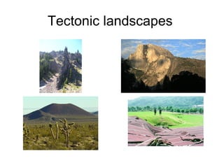 Tectonic landscapes  