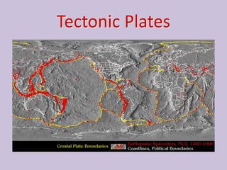 Tectonic Plates
 