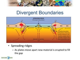 Divergent Boundaries




• Spreading ridges
   – As plates move apart new material is erupted to fill
     the gap
 