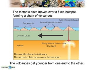 The tectonic plate moves over a fixed hotspot
  forming a chain of volcanoes.




The volcanoes get younger from one end to the other.
 