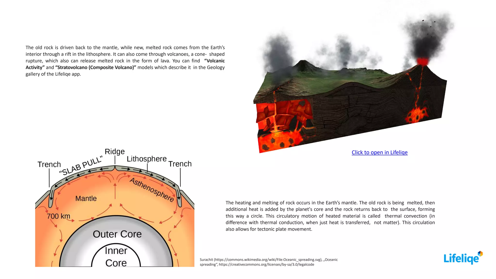 The old rock is driven back to the mantle, while new, melted rock comes from the Earth’s
interior through a rift in the lithosphere. It can also come through volcanoes, a cone- shaped
rupture, which also can release melted rock in the form of lava. You can find “Volcanic
Activity” and “Stratovolcano (Composite Volcano)” models which describe it in the Geology
gallery of the Lifeliqe app.
The heating and melting of rock occurs in the Earth’s mantle. The old rock is being melted, then
additional heat is added by the planet's core and the rock returns back to the surface, forming
this way a circle. This circulatory motion of heated material is called thermal convection (in
diﬀerence with thermal conduction, when just heat is transferred, not matter). This circulation
also allows for tectonic plate movement.
Surachit (https://commons.wikimedia.org/wiki/File:Oceanic_spreading.svg), „Oceanic
spreading“, https://creativecommons.org/licenses/by-sa/3.0/legalcode
Click to open in Lifeliqe
 