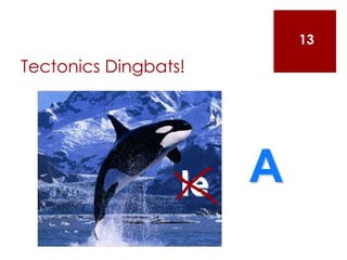 Tectonics Dingbats!
13
le A
 