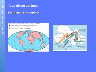 LadérivedescontinentsLadérivedescontinents
Distribution des espècesDistribution des espèces
Les observations
 