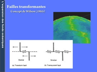 Failles transformantes
Concept de Wilson (1965)Concept de Wilson (1965)
L’expansiondesfondsocéaniquesL’expansiondesfondsocéaniques
 