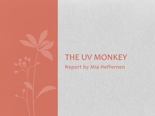 Report by Mia Heffernen THE UV MONKEY 