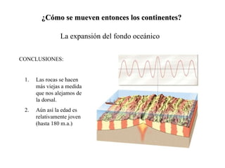 ¿Cómo se mueven entonces los continentes? La expansión del fondo oceánico CONCLUSIONES: Las rocas se hacen más viejas a medida que nos alejamos de la dorsal. Aún así la edad es relativamente joven (hasta 180 m.a.) 