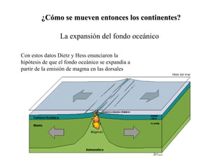 ¿Cómo se mueven entonces los continentes? La expansión del fondo oceánico Con estos datos Dietz y Hess enunciaron la hipótesis de que el fondo oceánico se expandía a partir de la emisión de magma en las dorsales 