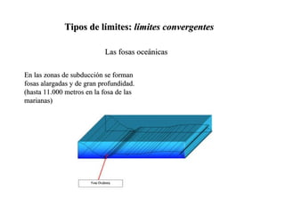 Tipos de límites:  límites convergentes Las fosas oceánicas En las zonas de subducción se forman fosas alargadas y de gran profundidad. (hasta 11.000 metros en la fosa de las marianas) 
